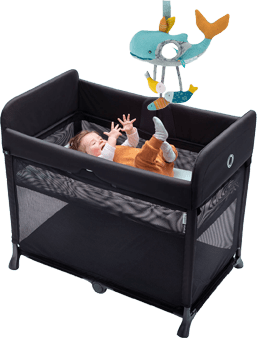 Moulin_Roty_Fish_And_Bugaboo